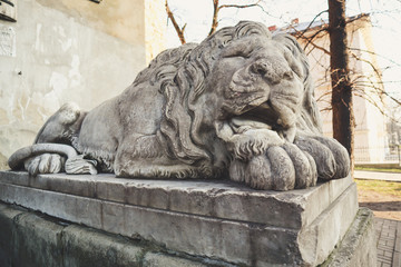 Fototapeta na wymiar The sculpture of the lion.Old streets of Lviv. Austrian architecture. City details. The atmosphere of Leopolis.