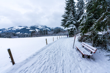 Winterwanderweg im tief verschneiten Wald mit Rastbank