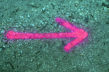 Richtungspfeile in Pink