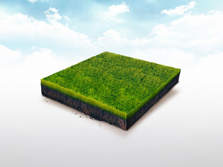 3d illustration of cross section of meadow with green grass isolated on white