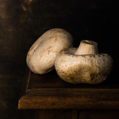  Two delicious mushrooms on a wooden table. Dark background. Square format.