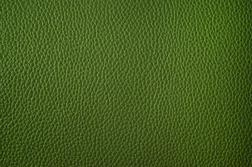 Leather texture close up. Green fashionable background, top view. Stylish wallpaper of snake skin. Rough surface.
