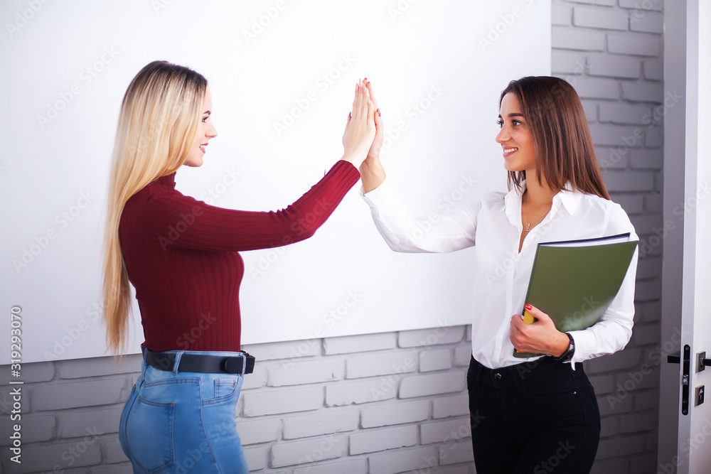 Wall mural Two female colleagues in office working together.