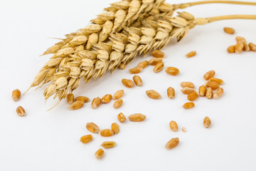 Spikelets and wheat grains on a white background,