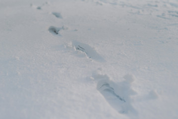 Close up of footsteps in snow