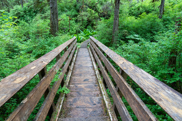 Boardwalk and bridge on a nature hike on Kuprenaof Island near Petersburg, Alaska