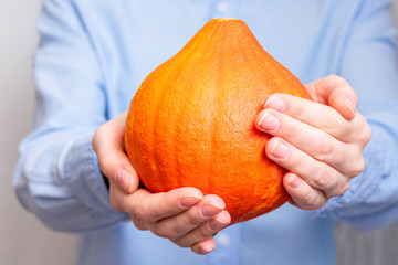 Woman shows a pumpkin, cropped image, woman's hands, close up