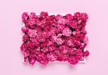 Composition of purple, pink flowers.