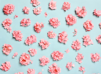 Pastel composition of coral, pink flowers, on a blue background.