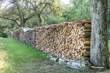 Brennholzlager auf einer Wiese © focus finder