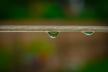 Gotas de agua