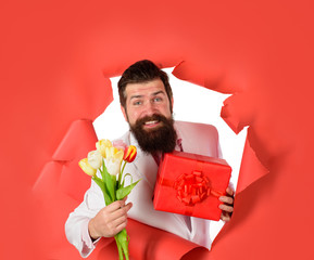 Valentines Day, Womens Day. Businessman with gift and tulips looking through paper. Romantic man. Bearded man holds bouquet of flowers and gift box. Handsome young man holds gift box and flowers.