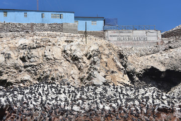 Jan 25, 2020 - Paracas, Peru: Sea bird colonies and Guano (seabird dropping) storage buildings on...