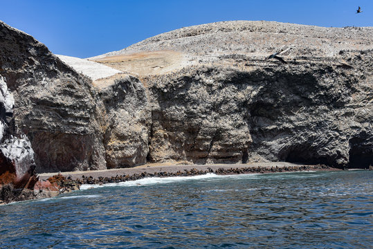 Sea Lion colony on a beach on the Islas Ballestas. Paracas, Peru
