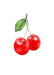 Composition of two ripe cherries. Technique watercolor. Print for dishes.
