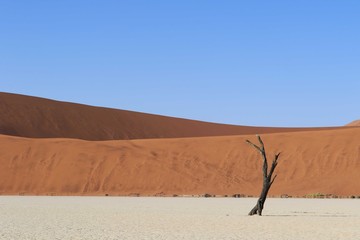 Sossusvlei Namib