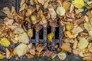 Laub verstopfter Abwasserschacht