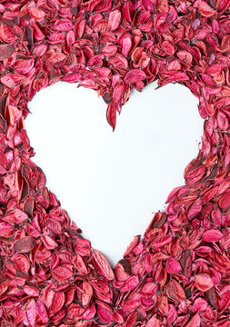 Heart shaped frame of pink and coral leaves
