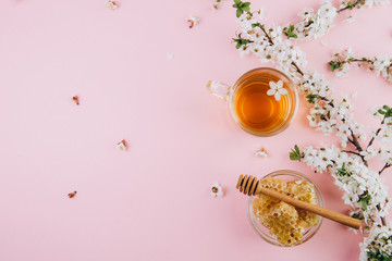 Spring composition. A cup of herbal tea and a jar of honey on a pink background, cherry flowers top...