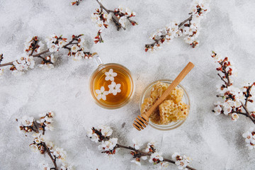 Spring composition. A cup of herbal tea and a jar of honey on a grey beton background, cherry...