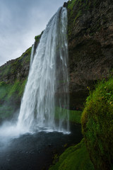 Fototapeta premium Seljalandsfoss in Iceland, cloudy day