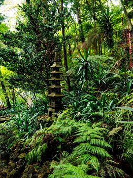 Tropical Garden at Monte above Funchal Madeira This wonderful garden is at the top of the cablecar from the seafront in Funchal. It is filled with trees, plants and flowers. It has a lake 
