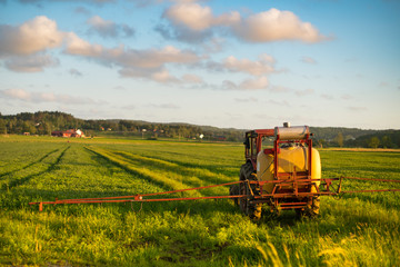 combine harvester working on wheat field