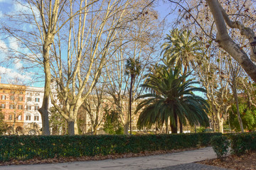 Fototapeta premium Streets of Rome
