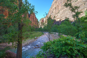 Obraz premium hiking the riverside walk in zion national park, utah, usa