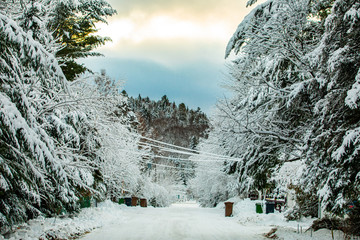 Magical winter scene in rural Quebec, Canada. Heavy snow covers tree lined street. Inaccessible...