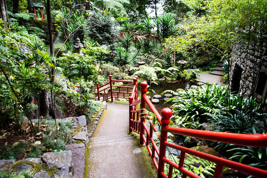 Tropical Garden at Monte above Funchal Madeira This wonderful garden is at the top of the cablecar from the seafront in Funchal. It is filled with trees, plants and flowers. It has a lake