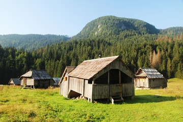 Fototapeta na wymiar Planina Blato, traditional pasture, Triglav, Slovenia