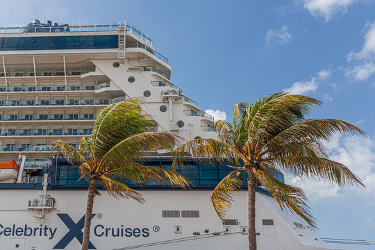Celebrity Cruises By Palm Trees