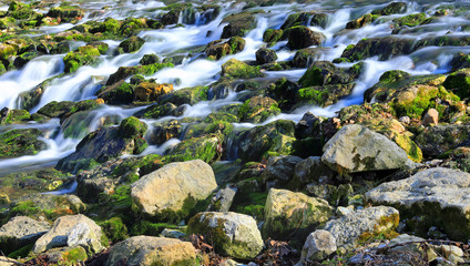 Spring and Fishery in MIssouri