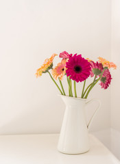 Vertical , close up view of bright pink and peach gerberas in white jug on table against wall (selective focus)
