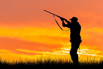 Fototapeta na wymiar Silhouette of a hunter with a gun in the reeds against the sun, an ambush for ducks with dogs