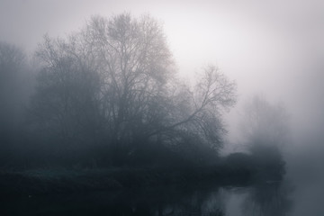 Fototapeta na wymiar Dead winter mist
