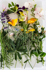 Flowers and Herbs including two collected in a dish for pressing