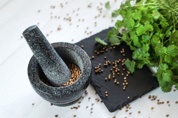 cilantro coriander seeds and leaves with granite mortar