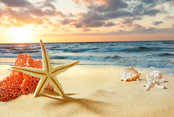 Fototapety  Rozgwiazdy i muszle na plaży. Wschód słońca nad morzem. Fale na brzegu morza.