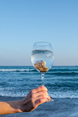 Girl with a glass by the sea