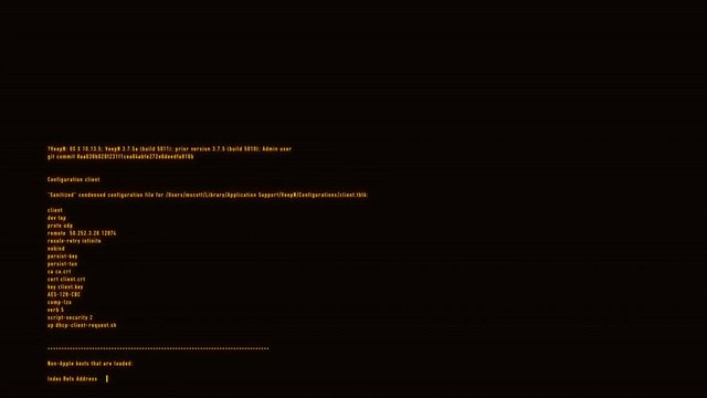 Orange Hacker Text - VPN Server Log Motion Background