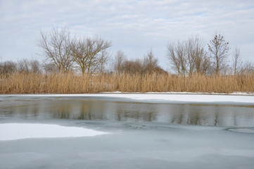 Spring landscape with a river melting from ice,water glades,dry reeds ,trees on the opposite bank