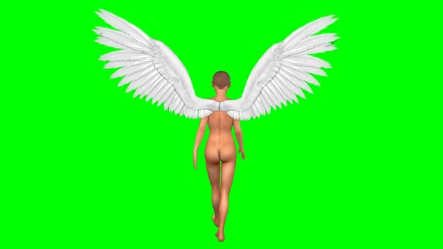 Angel walking green screen