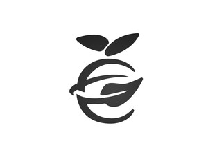 elegant abstract organic slash orange fruit logo design inspiration