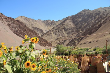 Caminhos do Himalaia