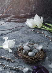 Marble Easter eggs in bird nest with feathers and spring tulips flowers on blue background with light. Happy Easter holiday
