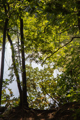 water surface of a small lake in Sweden