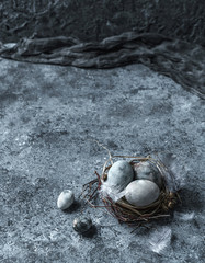 Easter eggs in bird nest with feathers on blue background. Happy Easter holiday