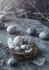 Marble Easter eggs in bird nest with feathers and spring flowers on blue background with light. Happy Easter holiday